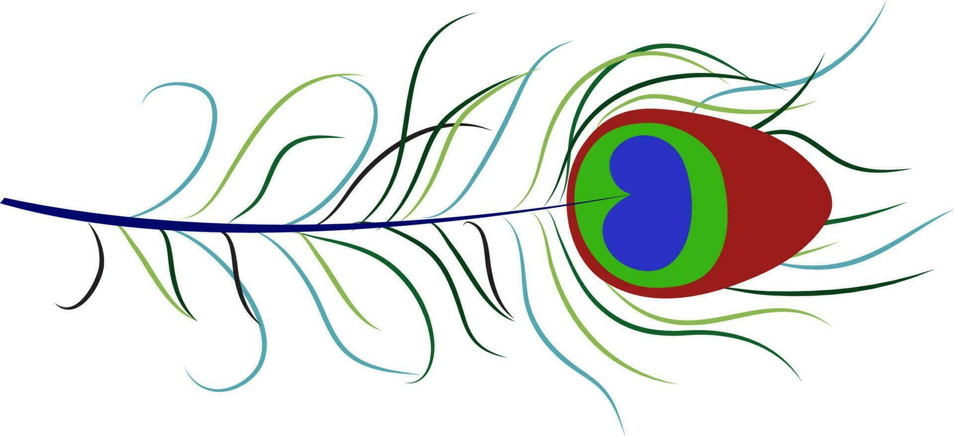 Illustration of beautiful peacock feather. vector