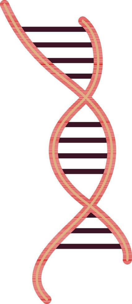 DNA symbol in color style of isolated. vector