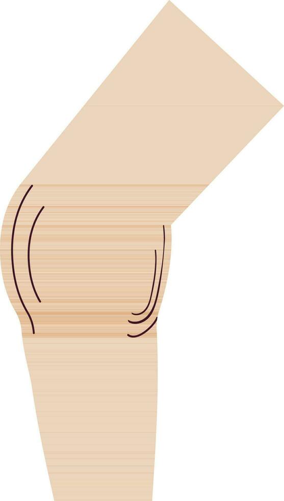 Symbol of knee icon of body part. vector