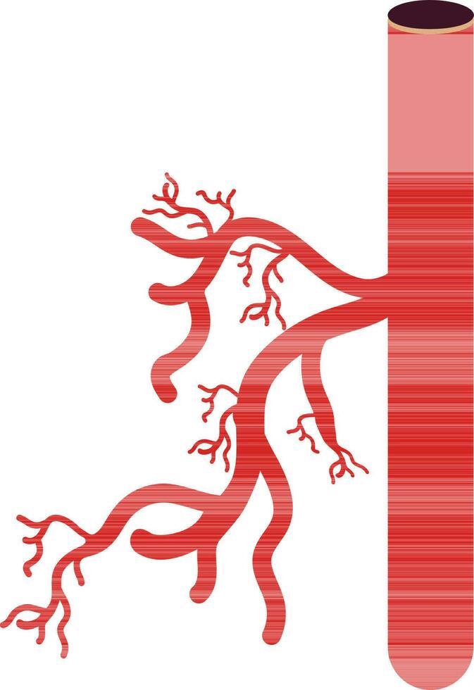 Blood vessel icon in color for human body. vector
