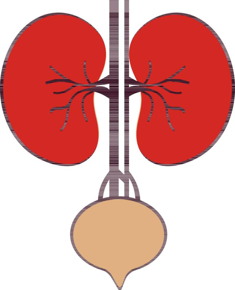 Illustration of kidneys icon in part of body. vector