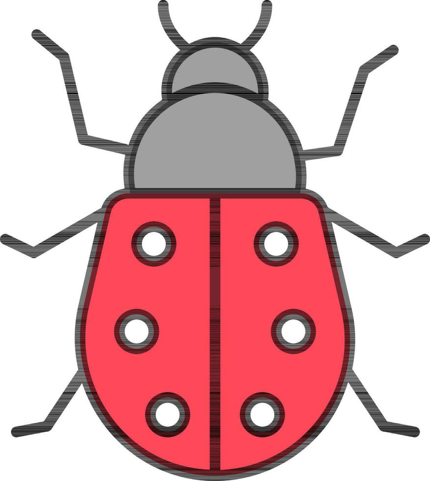 Ladybug icon or symbol in grey and red color. vector