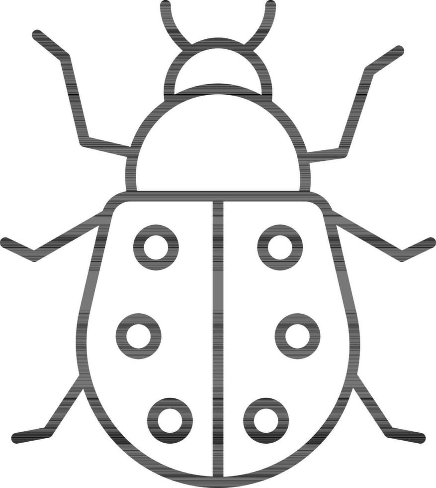 Ladybug icon or symbol in black thin line. vector