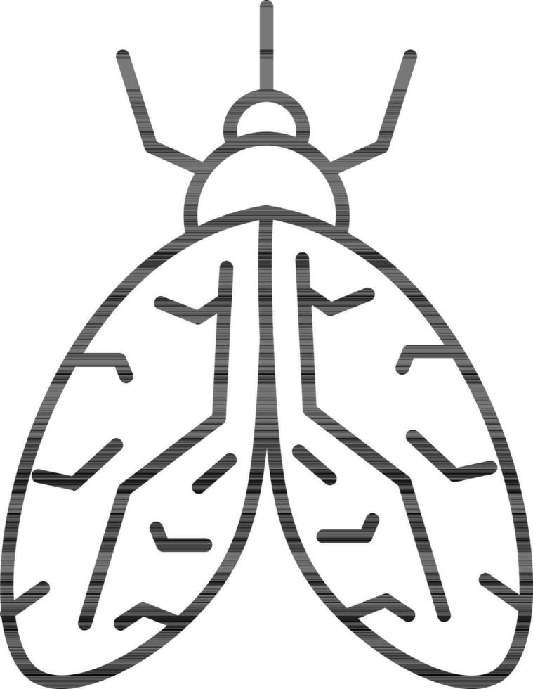 Clothes Moth or Mosquito icon in black line art. vector