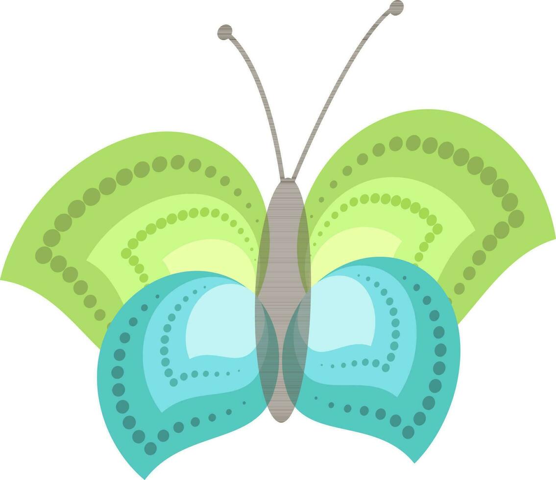 Isolated illustration of butterfly with beautiful wings. vector