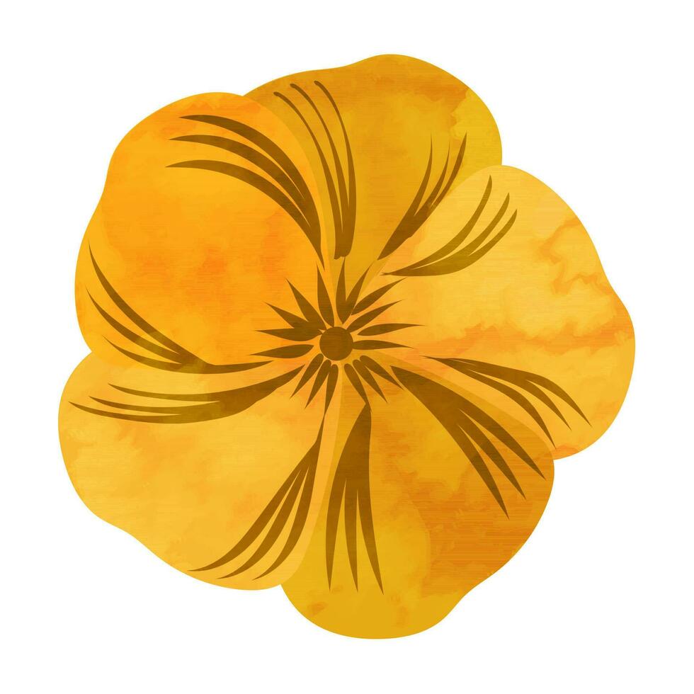 Yellow and orange flower on white background. vector