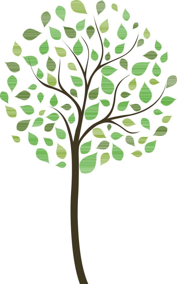 Illustration of plant with green leaves. vector