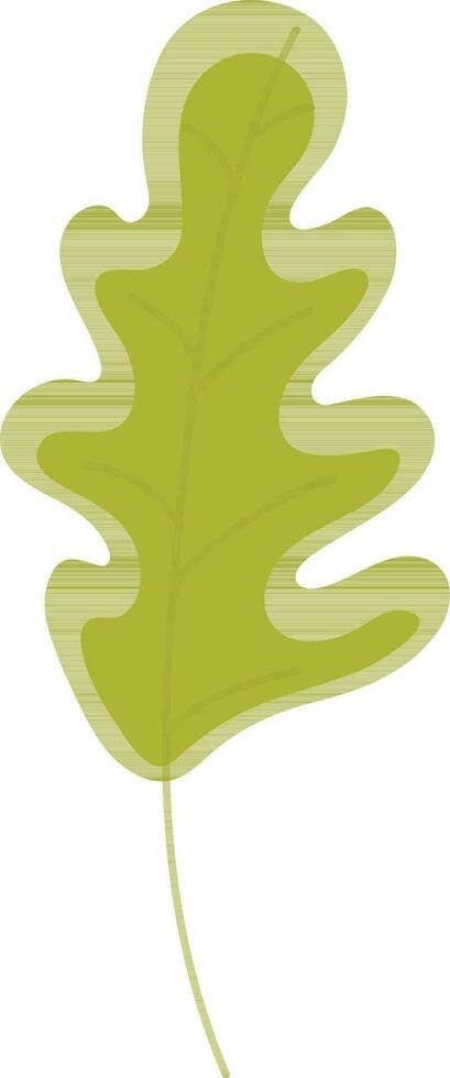 Illustration of green oak leaves. vector