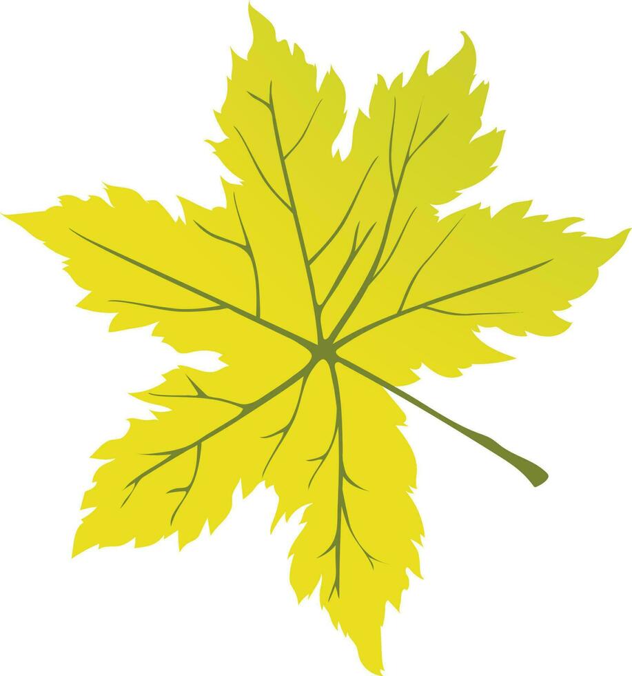 Flat style yellow maple leaf. vector