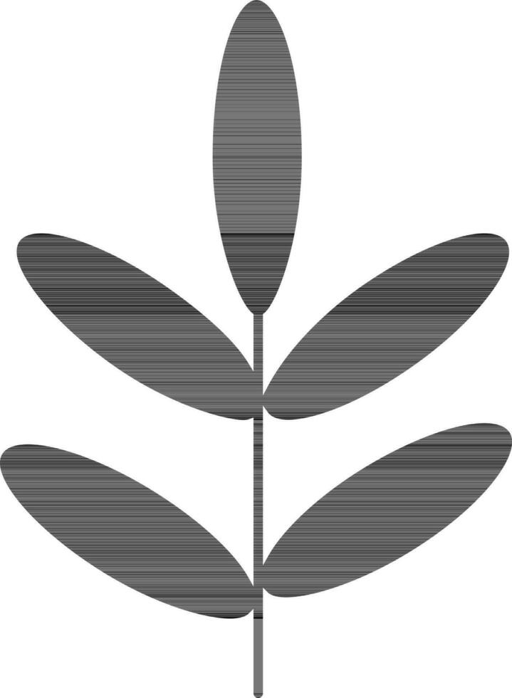 Isolated black leaves plant. vector