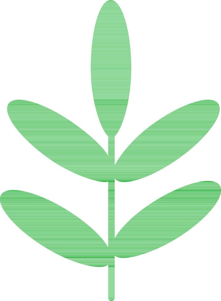 Green leaves plant. vector