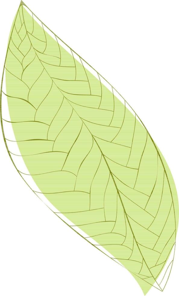 Illustration of green textured leaf. vector