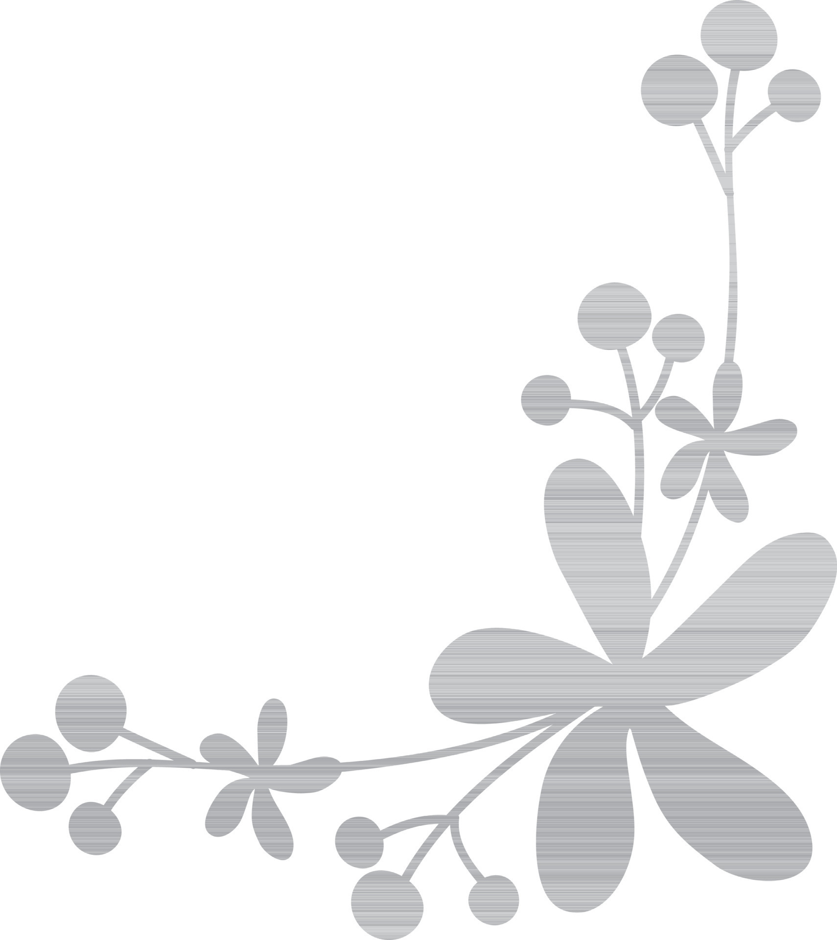 Flat illustration of grey flowers. 24331161 Vector Art at Vecteezy
