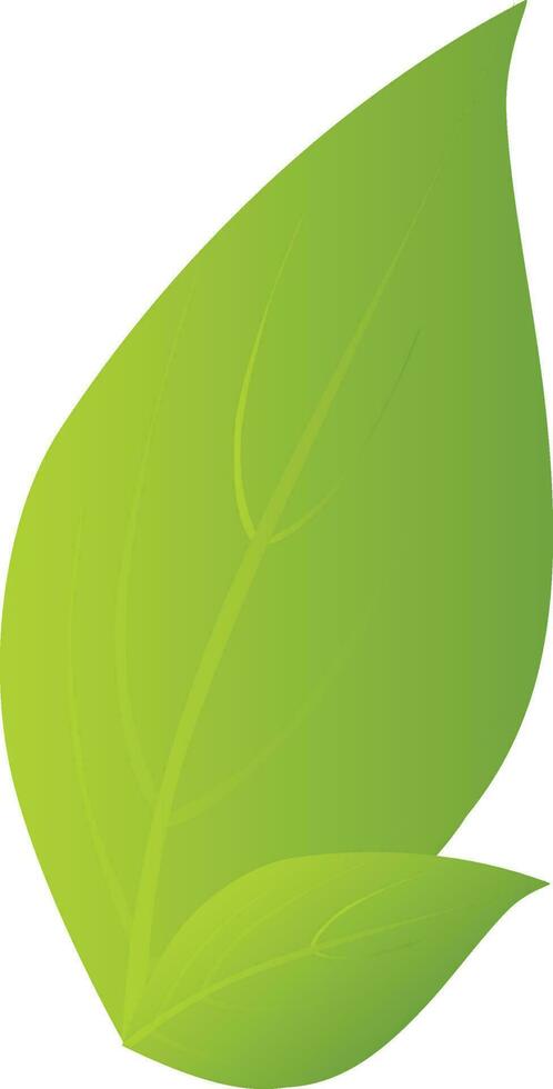 Illustration of green leaves icon. vector