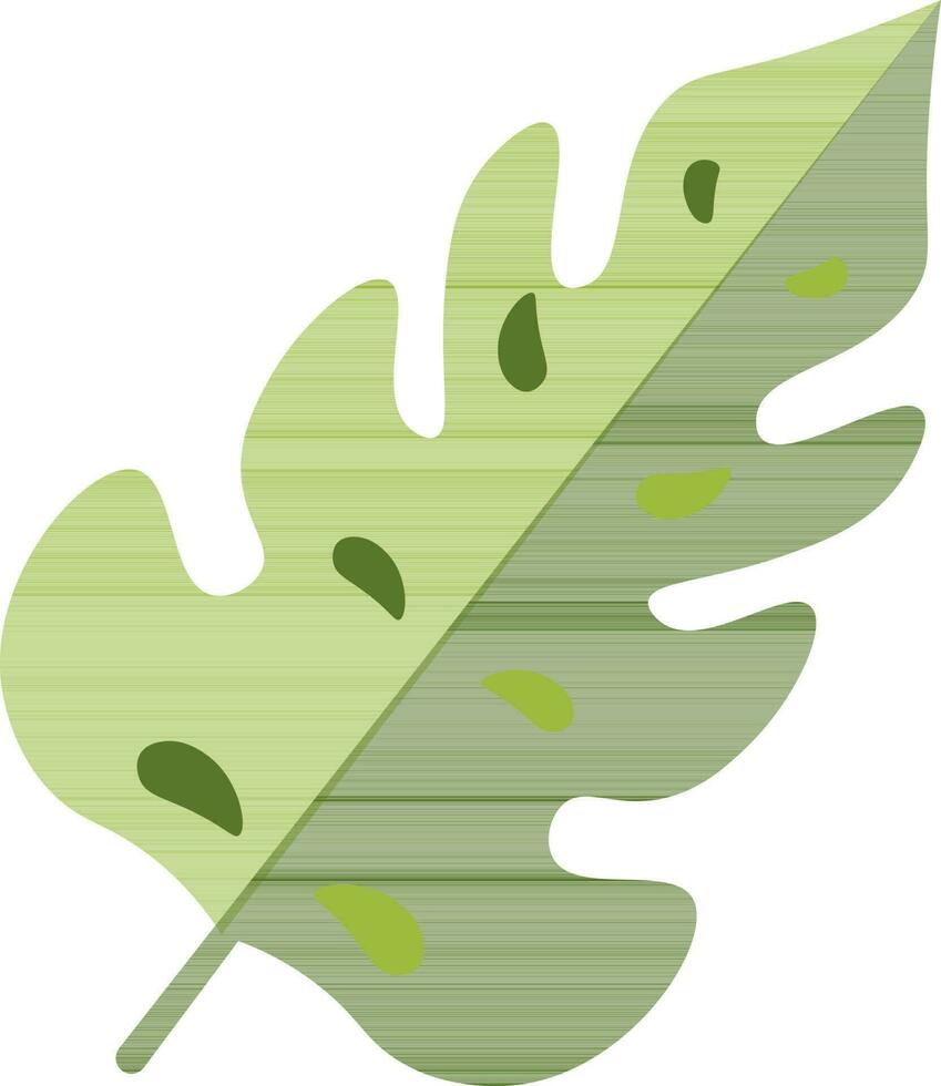 Flat Style Tropical Leaf icon in green color. vector