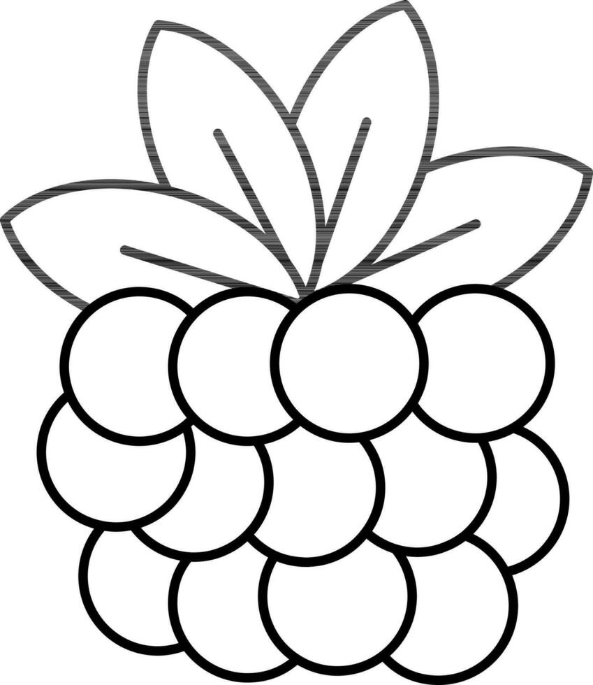 Blackberry Icon In Black Line Art. vector