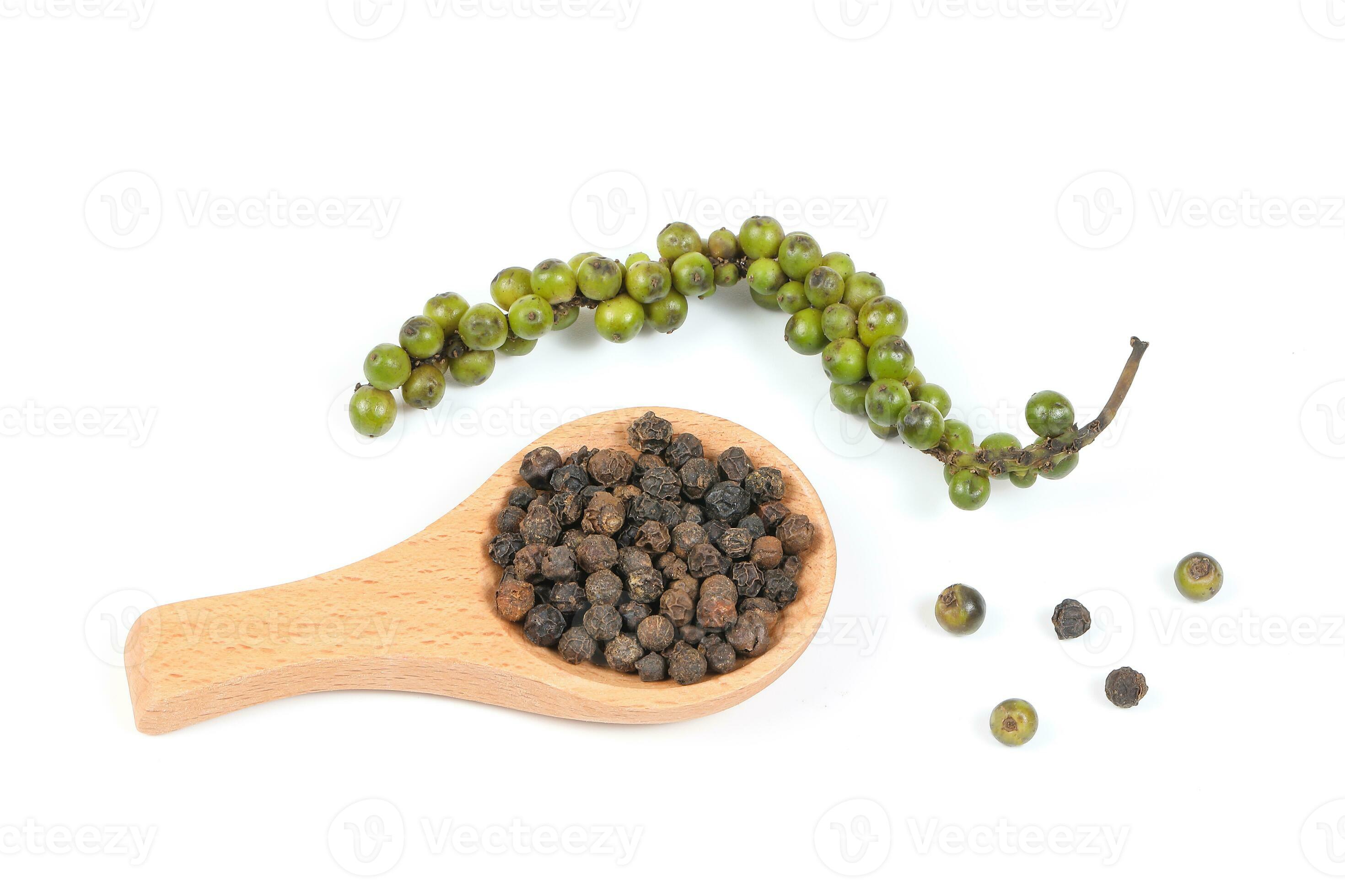 Black peppercorn raw dry 24336172 Stock Photo at Vecteezy