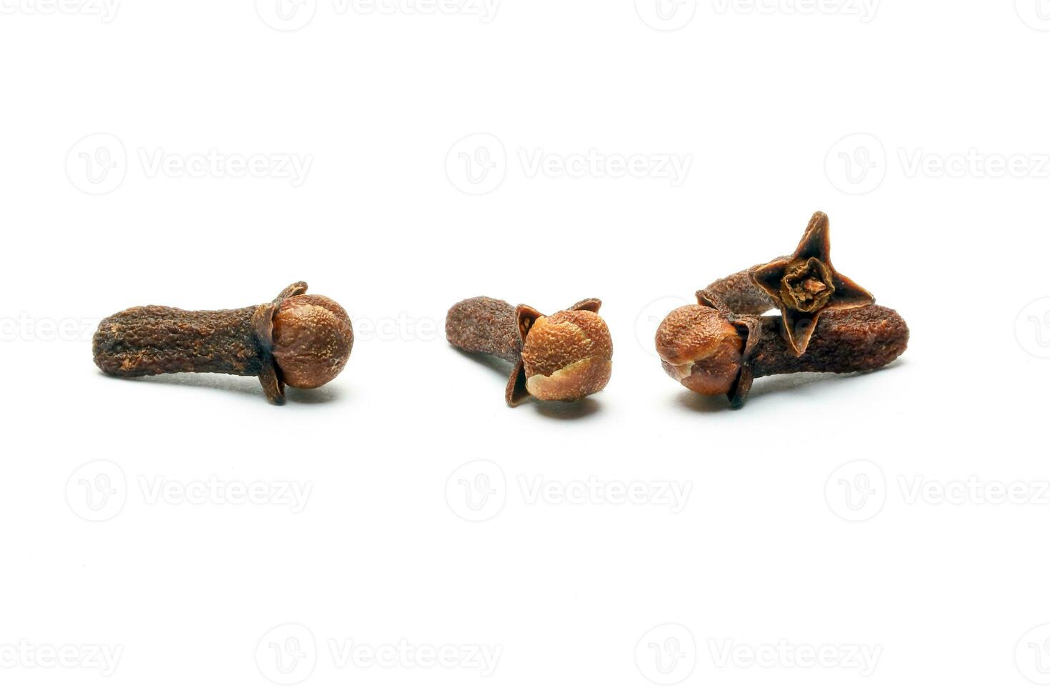 Clove spice whole on white background photo