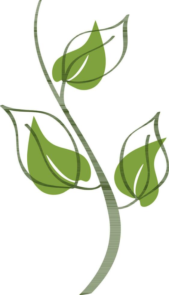 Green leaves on white background. vector