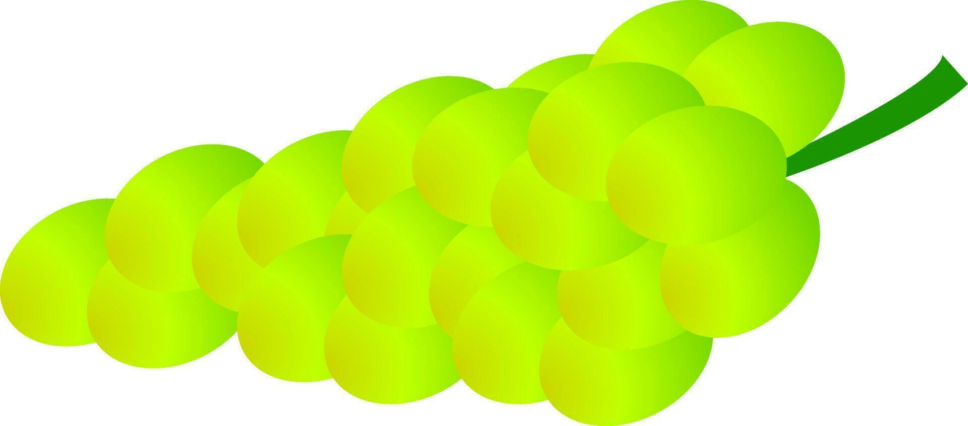 Shiny isolated icon of grapes bunch. vector