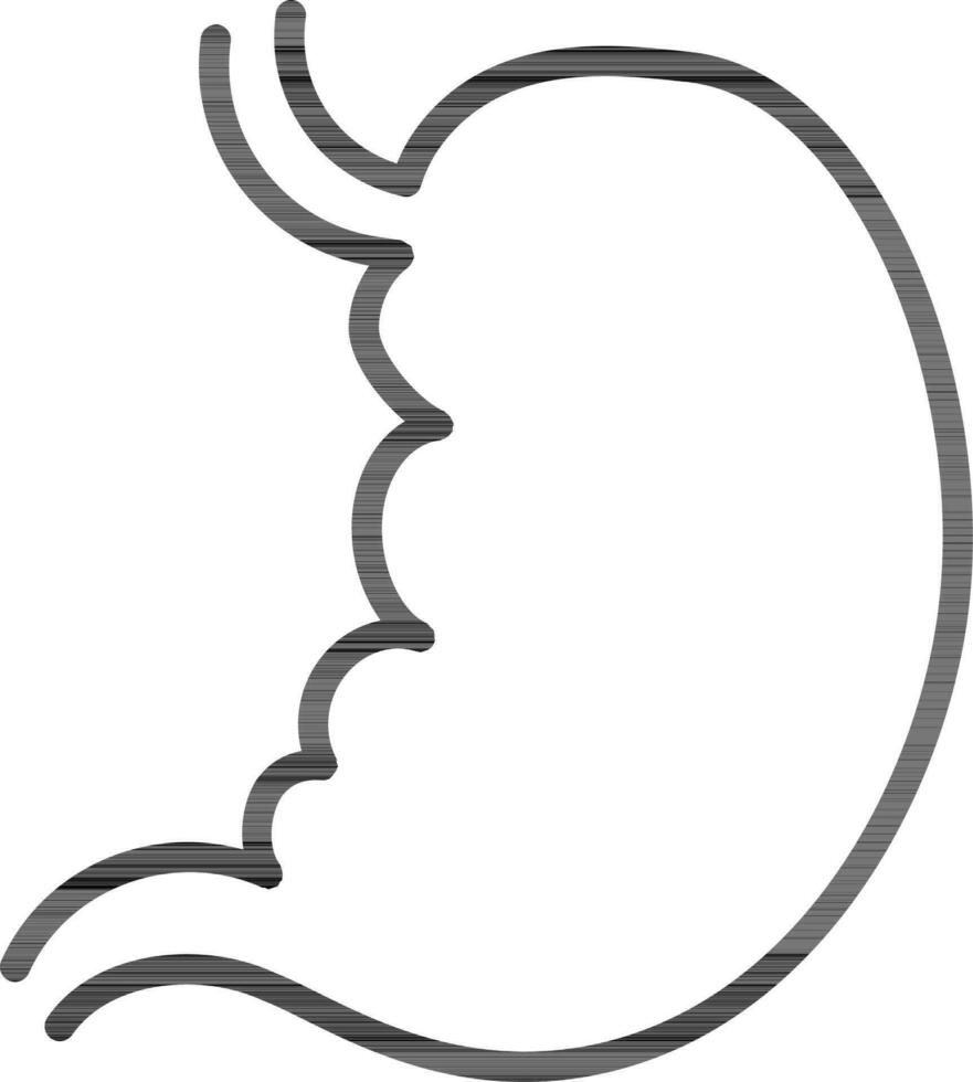 Black Outline Stomach Icon in Flat Style. vector