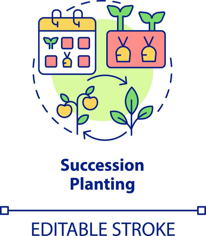 Succession planting concept icon. One crop following another. Gardening method abstract idea thin line illustration. Isolated outline drawing. Editable stroke vector