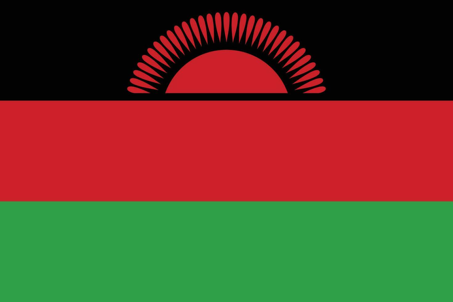 Flag of Malawi.National flag of Malawi vector