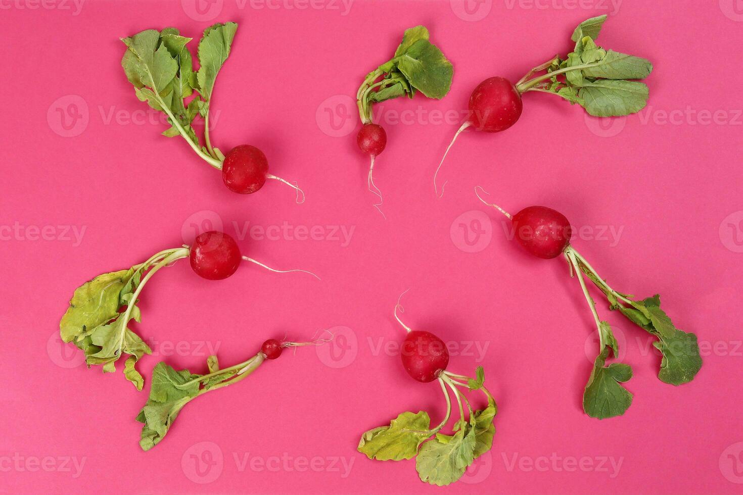 Small red radish on red ackground photo