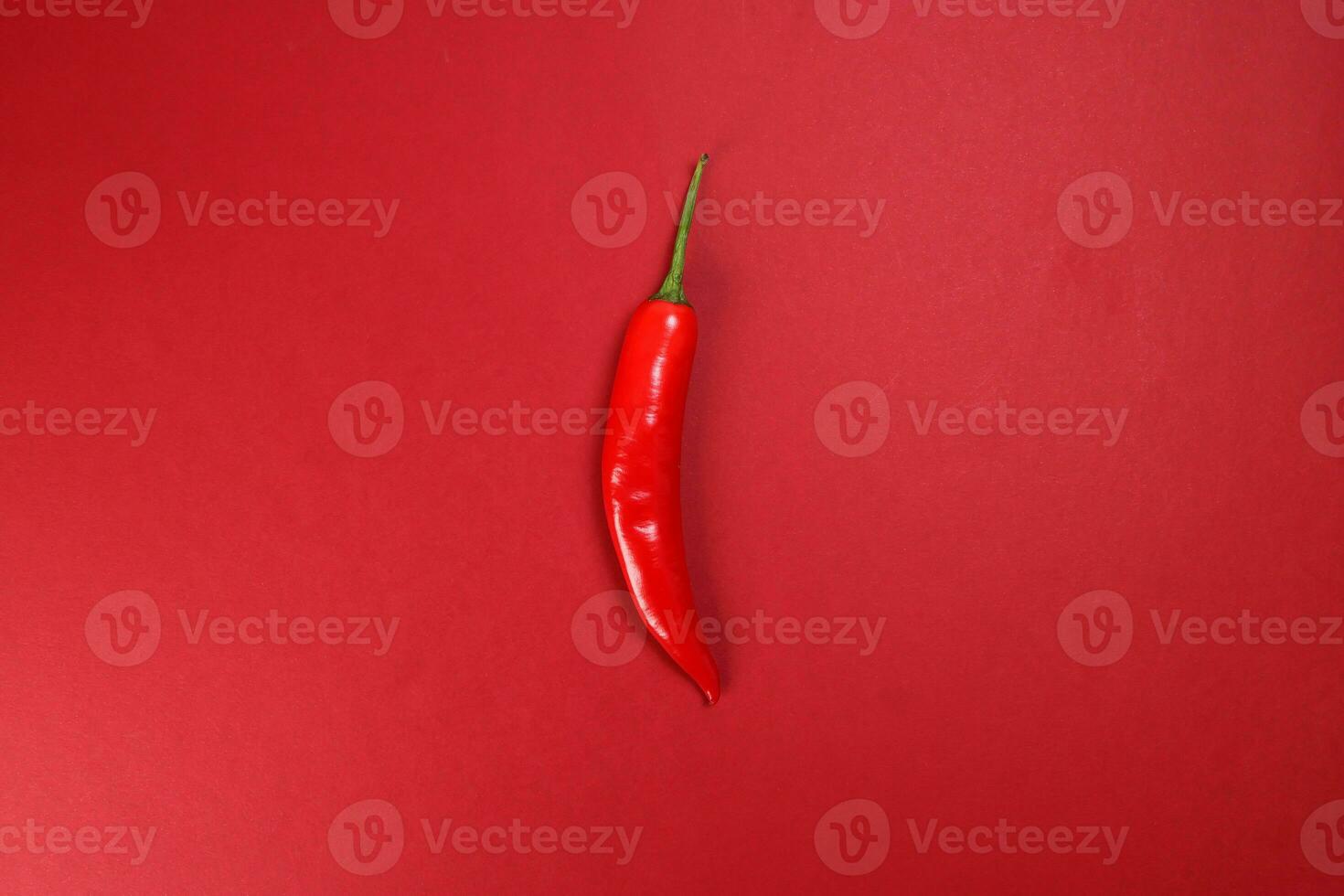 whole red chilli pepper on red paper background photo