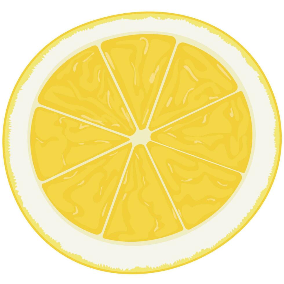 Illustration of a yellow lemon slice. vector