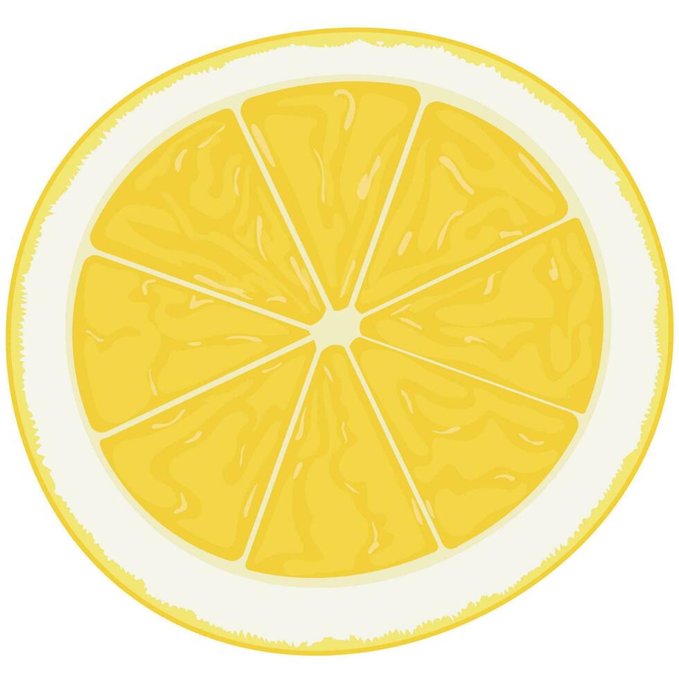 ilustración de un amarillo limón rebanada. vector