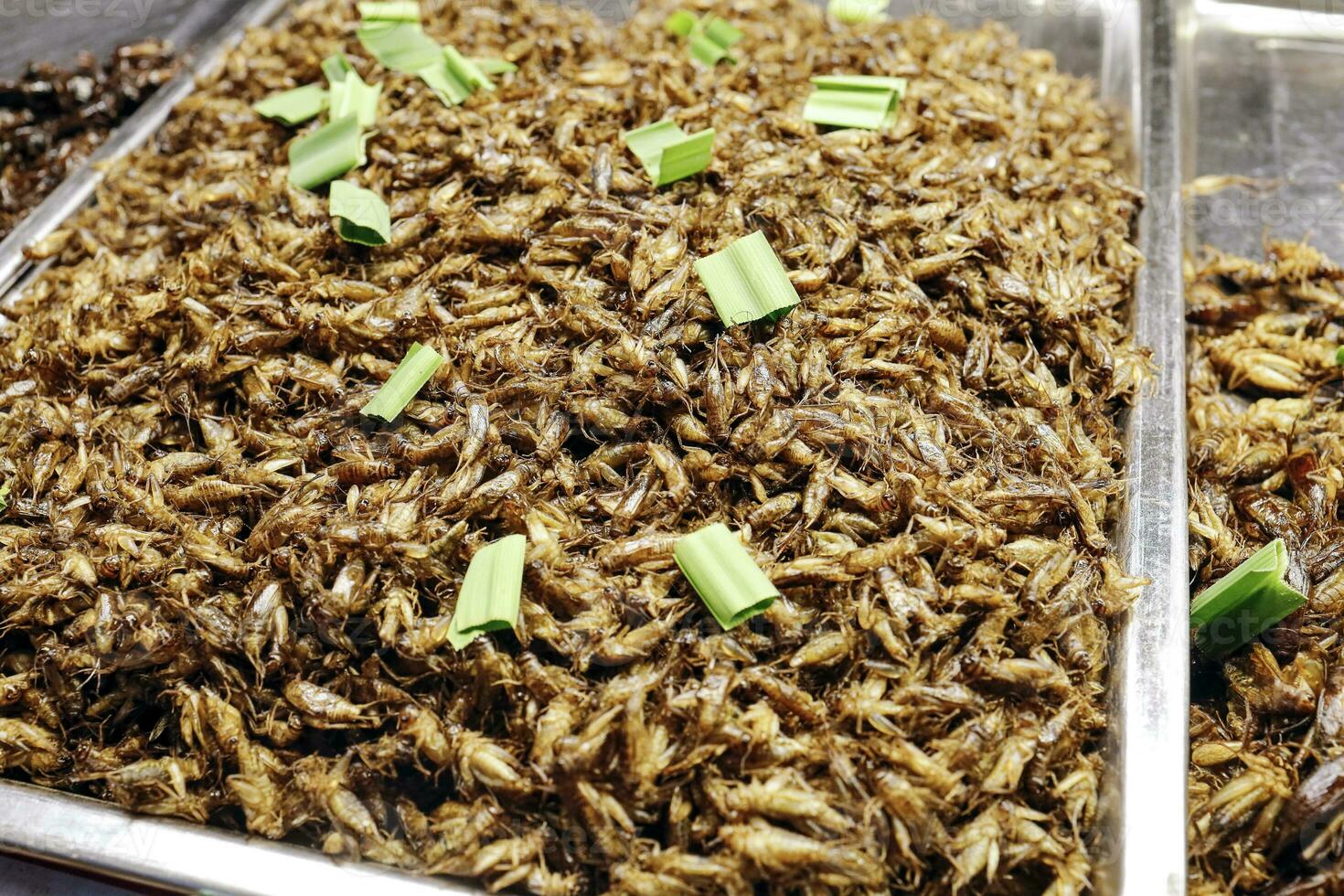 Larvie grasshopper bittles various fried insects sold in Thailand night market photo