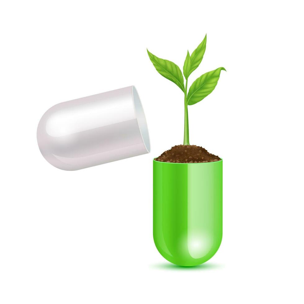 Seedling pill capsule vector