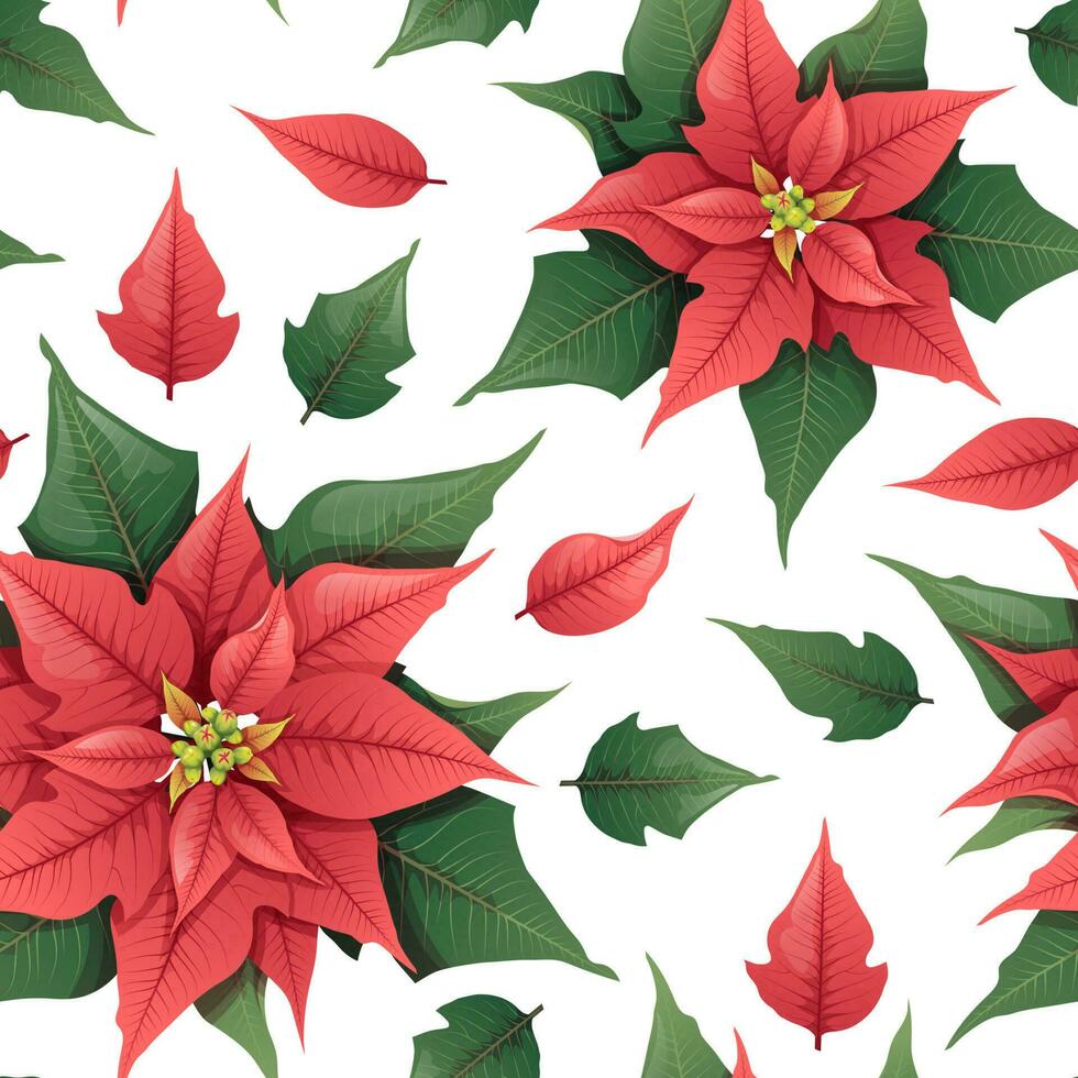 Seamless vector pattern with Christmas flower - red poinsettia on a white background. Suitable for wrapping paper, wallpapers, decor, Christmas decorations