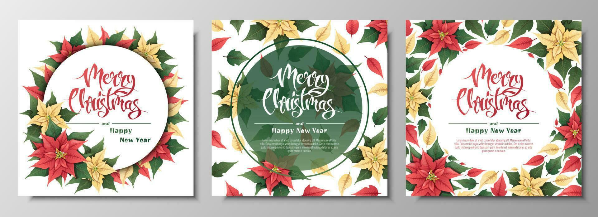 tarjeta postal conjunto con rojo y amarillo flor de pascua Navidad y nuevo año antecedentes. invierno plantas para decorando invitaciones, pancartas, volantes, etc. vector