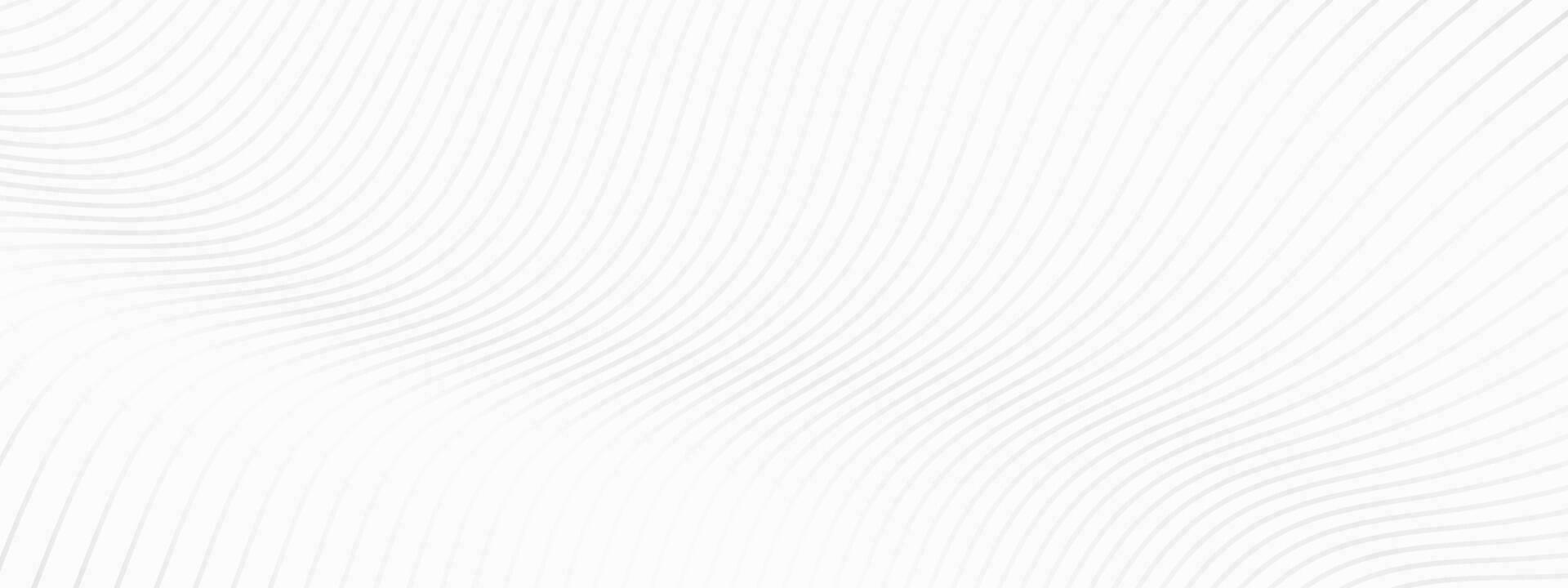 White banner background with line curve design. Vector illustration. Eps10