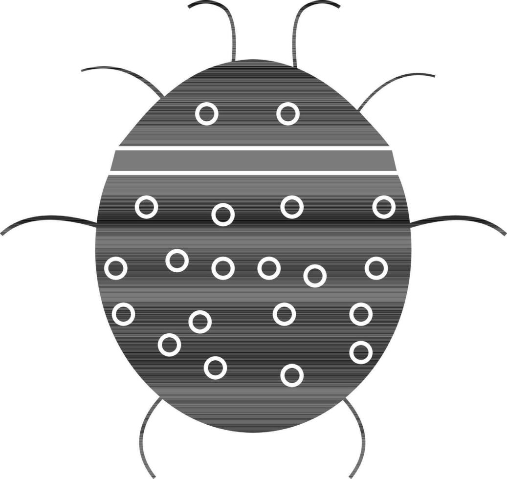 Black and white ladybug. vector