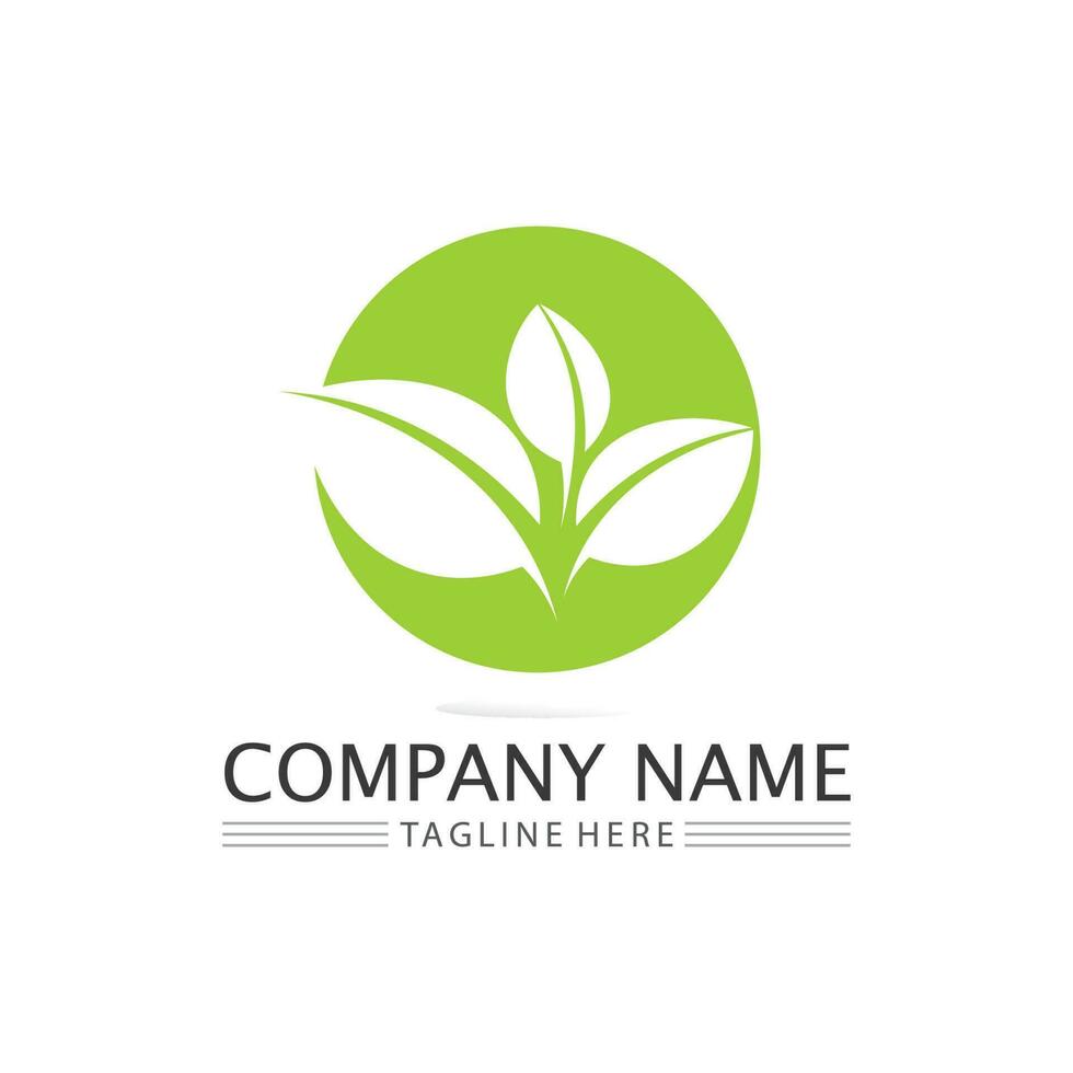 Tree leaf vector and green logo design friendly concept