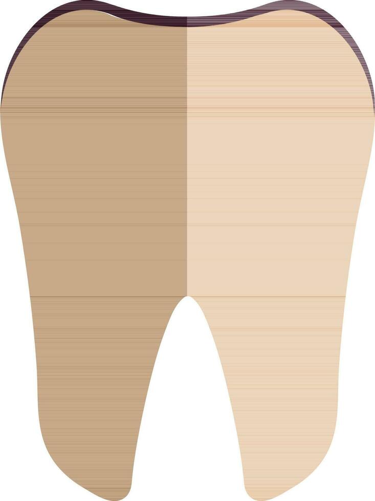 Half shadow style of tooth icon for human body. vector