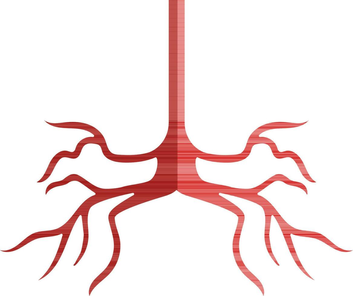 Human bronchus icon in color with half shadow. vector