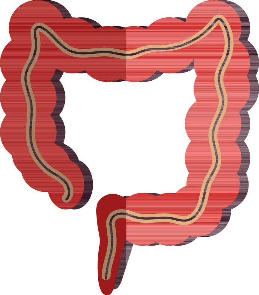 imagen de grande intestino icono en medio sombra de cuerpo parte. vector