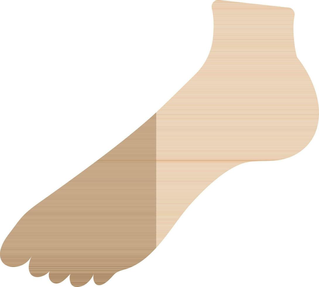 Feet icon in color with half shadow of body part. vector