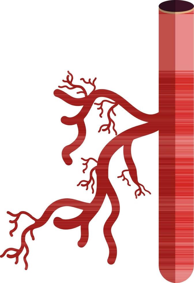 Blood vessel icon in half shadow for human body. vector