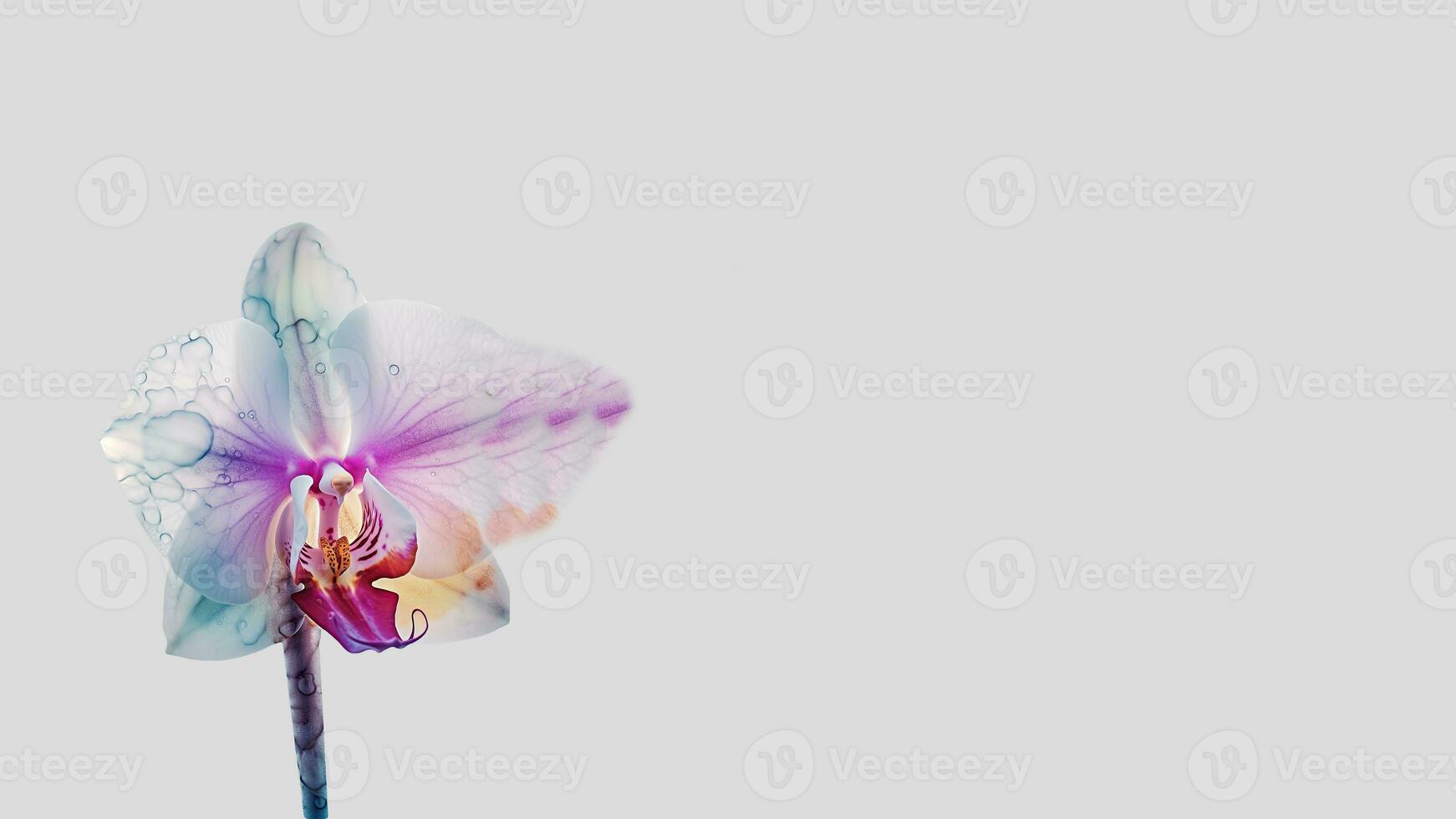 Beautiful Floral Composition of Colorful Orchid with Water Drops on White Background and Space for Message. Generative AI. photo