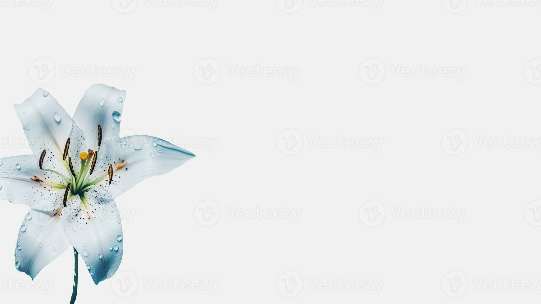 increíble lirio flor con agua gotas en blanco antecedentes y espacio para mensaje. generativo ai. foto