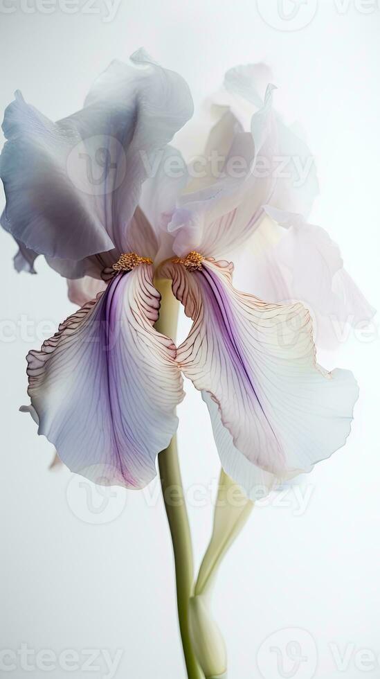 increíble imagen de suave color florecer iris flor. generativo ai. foto