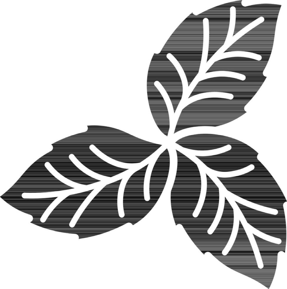 black and white Leaves Icon in Flat Style. vector