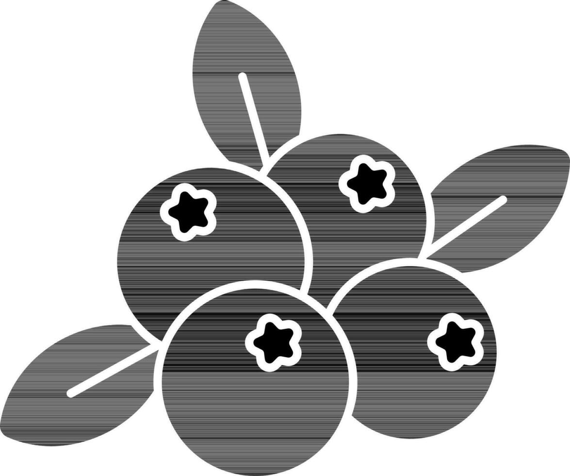 Cranberry Icon In black and white Color. vector