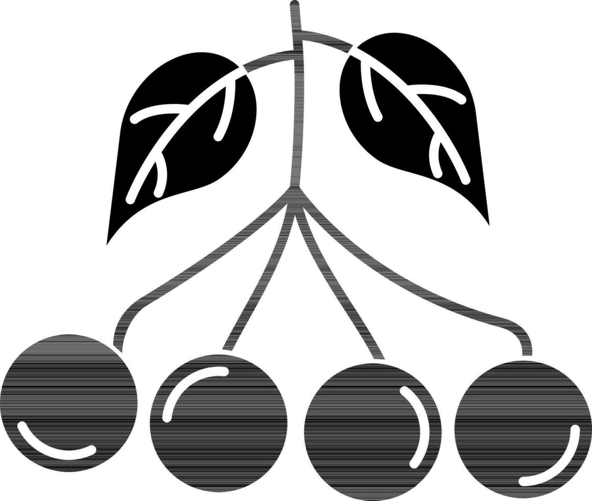 Salal Berry Icon In black and white Color. vector