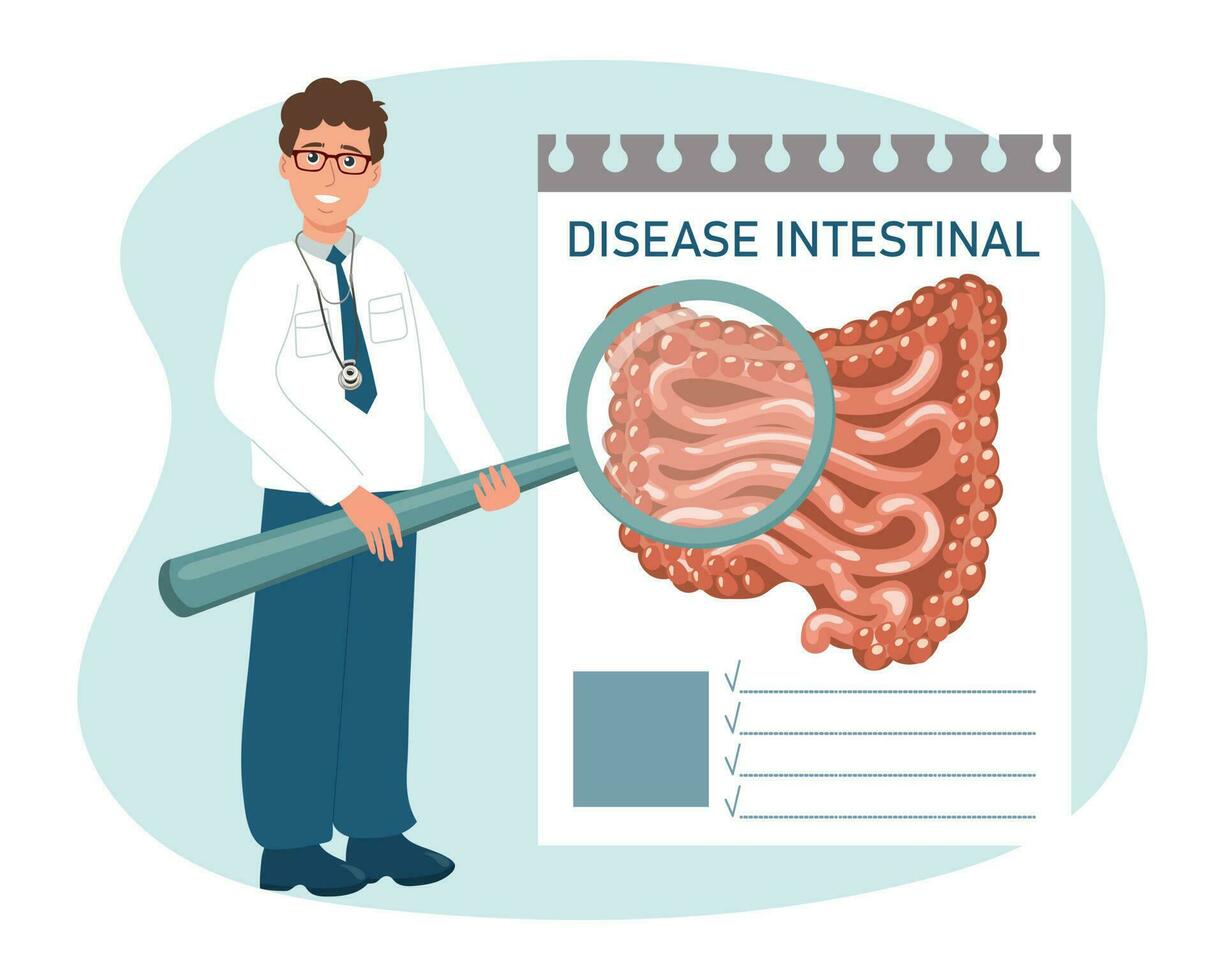 A male doctor with a magnifying glass studies diseases of the intestines, digestive system. Medical healthcare concept. Vector
